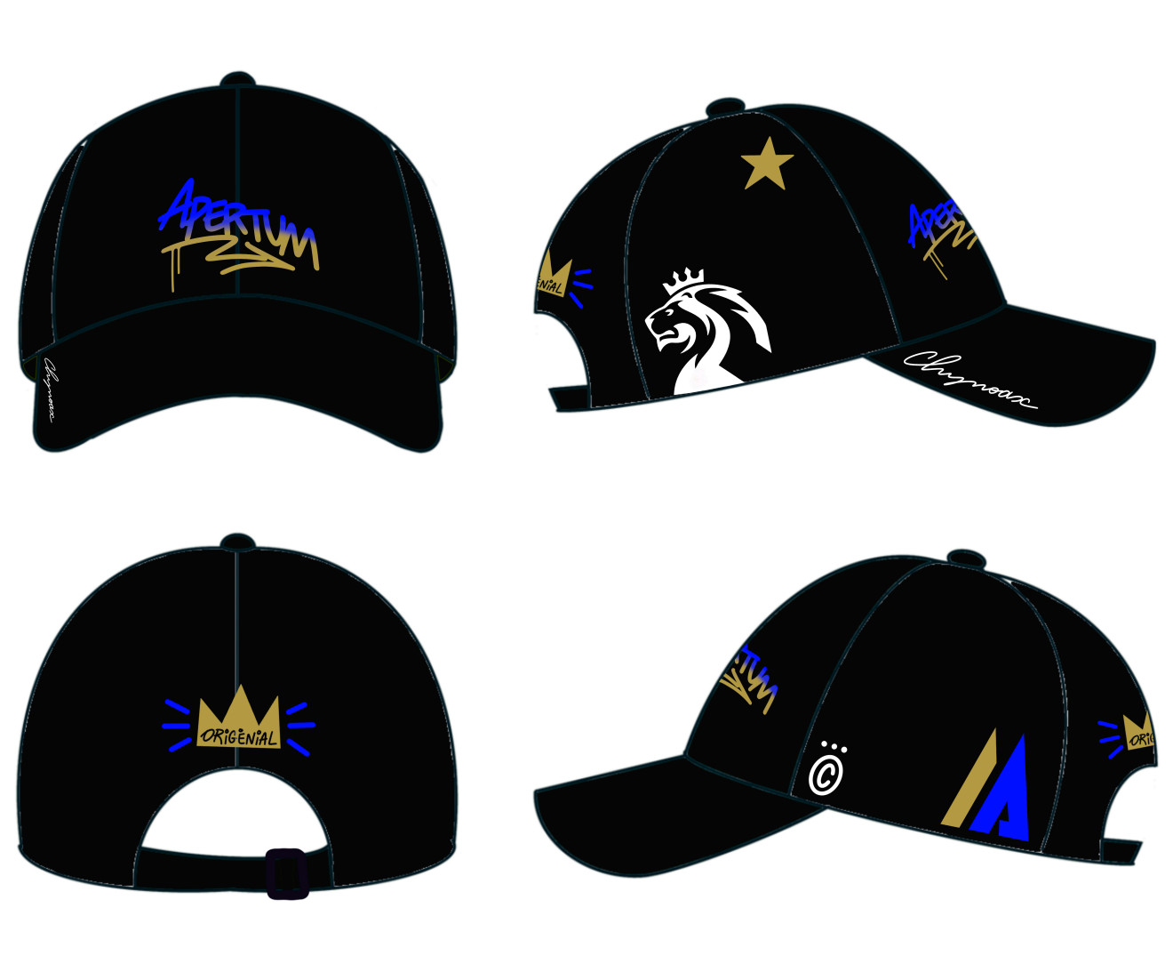 APERTUM EMBROIDERED BLACK CAP